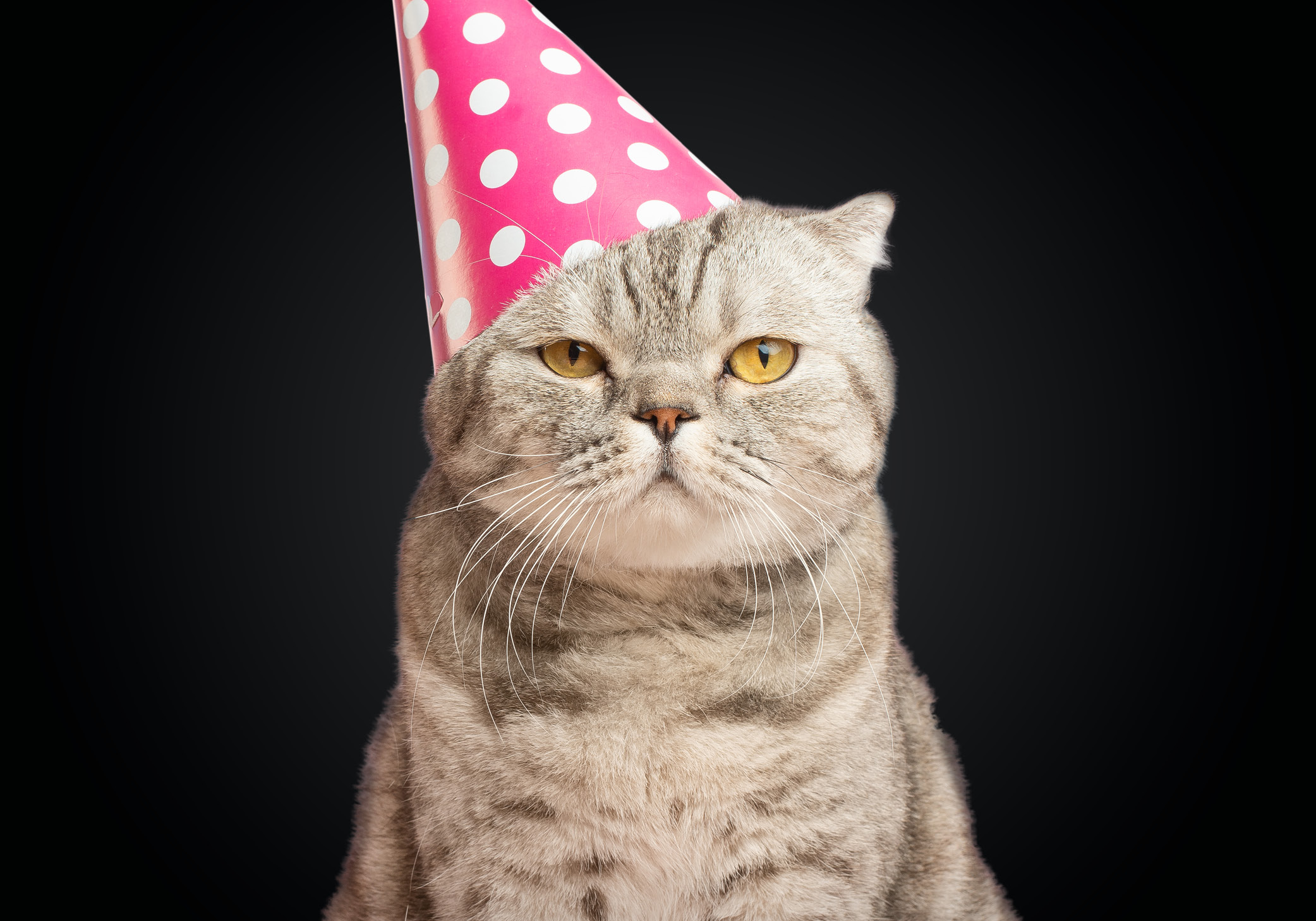 10 jaar Krokant: van mijlpaal tot toekomstplan